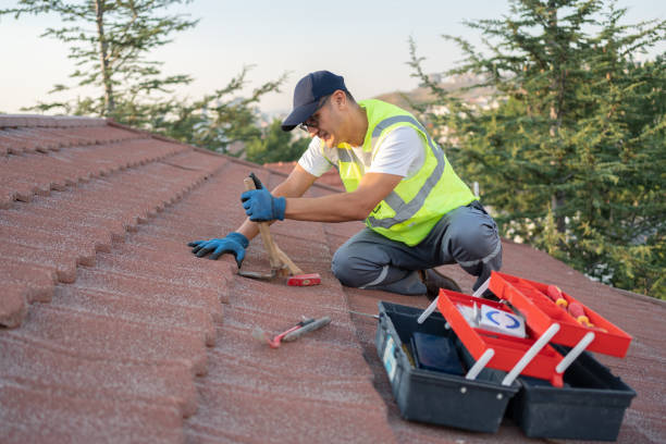 Best Best Roofing Contractors  in Niles, OH