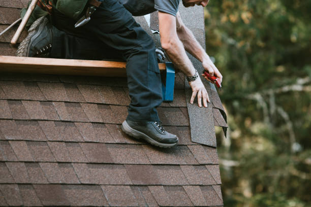 Best Roof Waterproofing Services  in Niles, OH